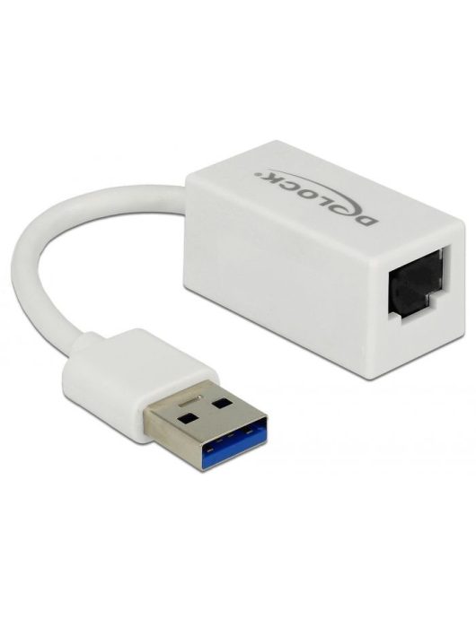 DeLock SuperSpeed USB3.2 Type-A male > Gigabit LAN 10/100/1000 Mbps compact Adapter White