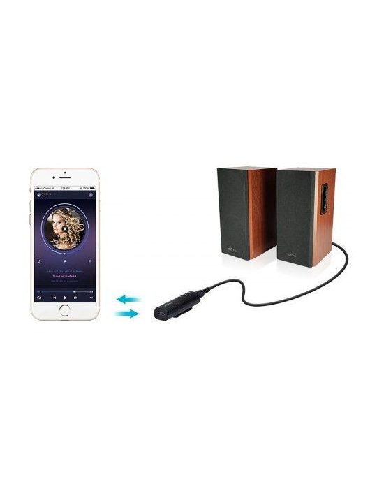 Media-Tech Bluetooth 4.1 Audio Adapter Black