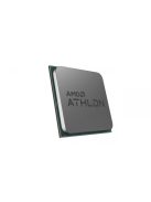 AMD Athlon 3000G AM4 3,5GHz BOX