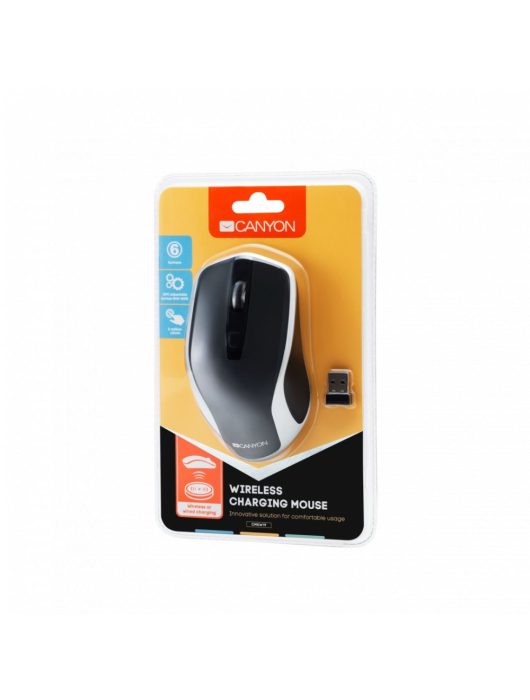 Canyon CNS-CMSW19B Wireless Charging Black/Silver