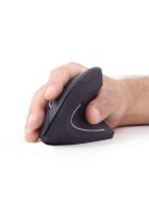 Gembird MUSW-ERGO-01 Ergonomic wireless mouse Black