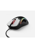 Glorious Model D Gaming Race RGB Glossy Black