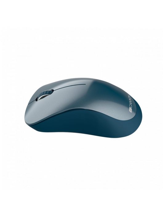 Canyon CNE-CMSW11BL Wireless mouse Blue