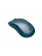 Canyon CNE-CMSW11BL Wireless mouse Blue
