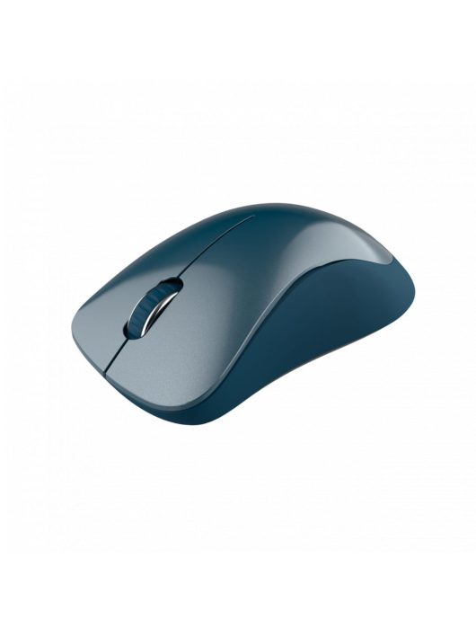 Canyon CNE-CMSW11BL Wireless mouse Blue