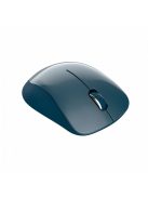 Canyon CNE-CMSW11BL Wireless mouse Blue