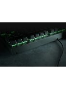 Razer BlackWidow V3 Tenkeyless Green Switch keyboard Black US