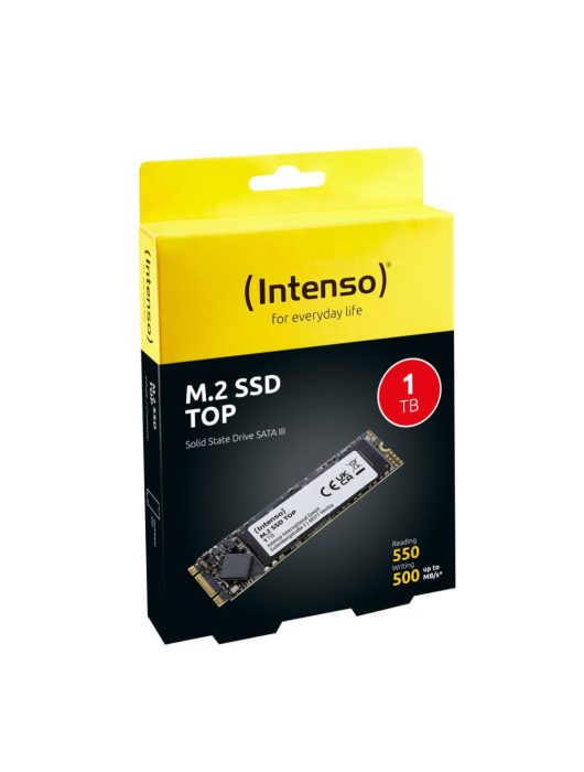 Intenso 1TB M.2 2280 Top