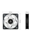 Arctic P12 PWM PST RGB 0dB Black (3db/cs) Value Pack with Controller