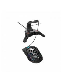   Canyon WH-100 2in1 Gaming Mouse Bungee stand and USB 2.0 hub Set Black