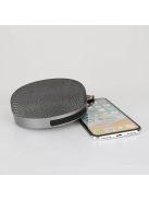 Platinet PMG7SG Bluetooth Speaker Steel Grey