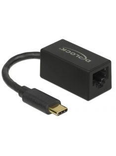   DeLock SuperSpeed USB (USB 3.2 Gen 1) with USB Type-C male > Gigabit LAN 10/100/1000 Mbps compact Adatper Black