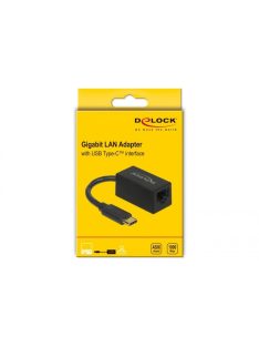   DeLock SuperSpeed USB (USB 3.2 Gen 1) with USB Type-C male > Gigabit LAN 10/100/1000 Mbps compact Adatper Black