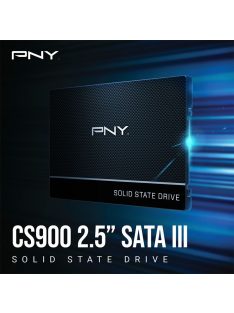 PNY 1TB 2,5" SATA3 CS900