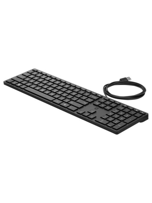 HP 320K Wired Desktop Keyboard Black HU