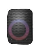 Platinet PMG255 Wireless Karaoke Speaker Black