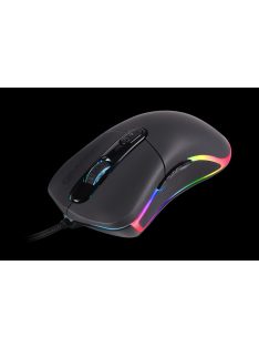 Dragon War Caster Gamer mouse Black