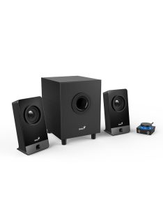 Genius SW-2.1 300X Black