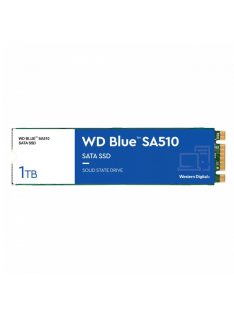 Western Digital 1TB M.2 2280 SA510 Blue