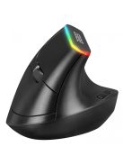 Everest SMW-618 Ergonomic RBG Optical Wireless Mouse Black