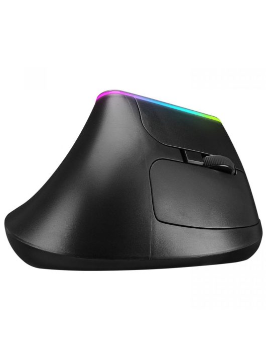 Everest SMW-618 Ergonomic RBG Optical Wireless Mouse Black