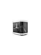 HYTE Y60 Tempered Glass Panda