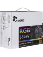 Inter-Tech 650W 80+ Gold Argus RGB-650W CM II
