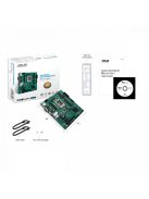 Asus PRO H610M-C-CSM