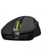 Everest SM-W75 -X-RAPID Wireless RGB Mouse Black