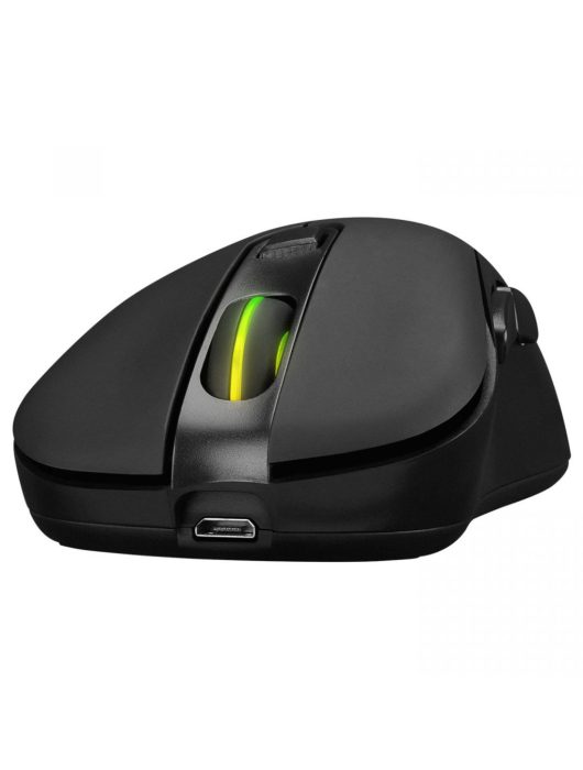 Everest SM-W75 -X-RAPID Wireless RGB Mouse Black