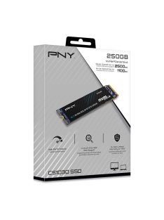 PNY 250GB M.2 2280 NVMe CS1030