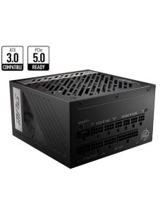 Msi 1000W 80+ Gold MPG A1000G PCIE5 ATX 3.0