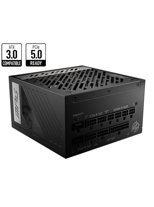 Msi 1000W 80+ Gold MPG A1000G PCIE5 ATX 3.0