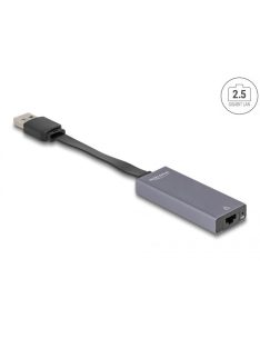 DeLock USB Type-A Adapter to 2.5 Gigabit LAN slim