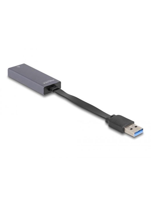 DeLock USB Type-A Adapter to 2.5 Gigabit LAN slim