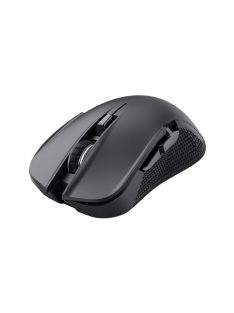Trust GXT923 Ybar Wireless Gaming mouse Black