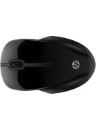 HP 250 Dual Wireless Mouse Black