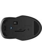 HP 250 Dual Wireless Mouse Black