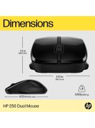 HP 250 Dual Wireless Mouse Black