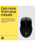 HP 250 Dual Wireless Mouse Black