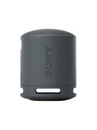 Sony SRSX-B100 Bluetooth Speaker Black