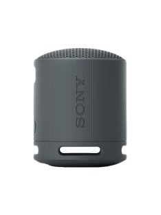 Sony SRSX-B100 Bluetooth Speaker Black