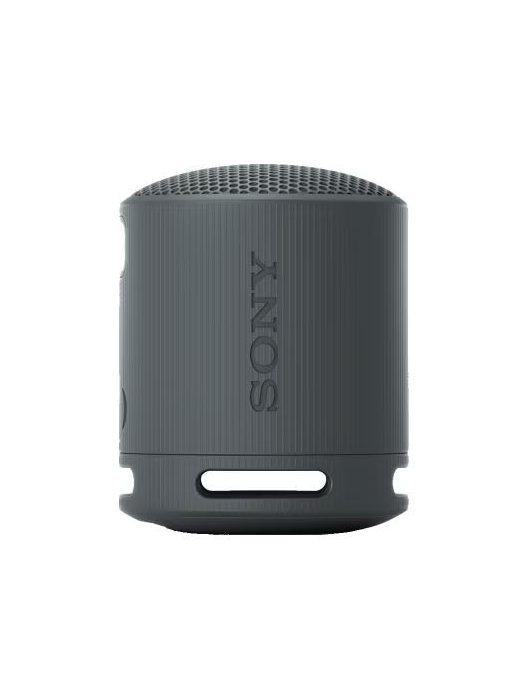 Sony SRSX-B100 Bluetooth Speaker Black