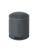 Sony SRSX-B100 Bluetooth Speaker Black