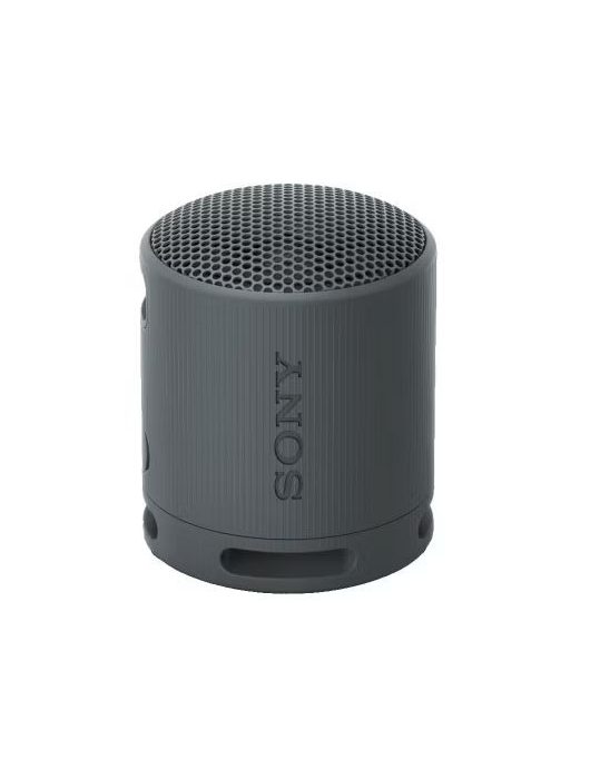 Sony SRSX-B100 Bluetooth Speaker Black
