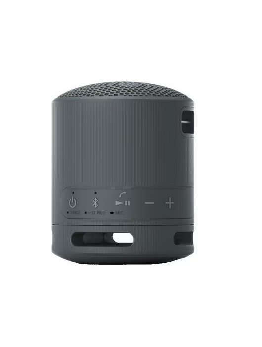 Sony SRSX-B100 Bluetooth Speaker Black