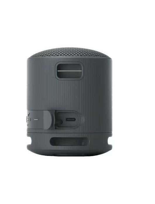 Sony SRSX-B100 Bluetooth Speaker Black