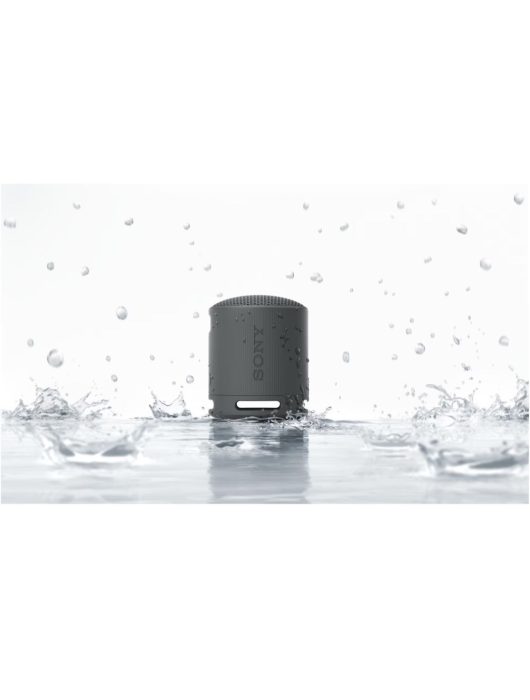 Sony SRSX-B100 Bluetooth Speaker Black