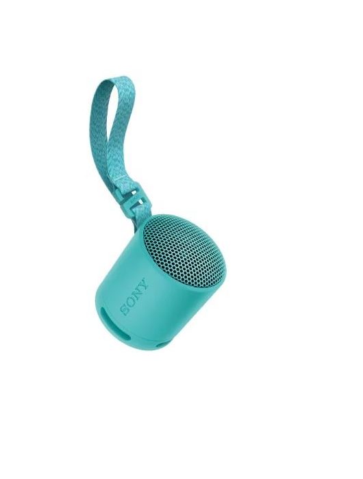 Sony SRSX-B100 Bluetooth Speaker Blue