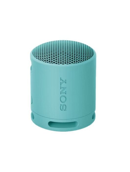 Sony SRSX-B100 Bluetooth Speaker Blue